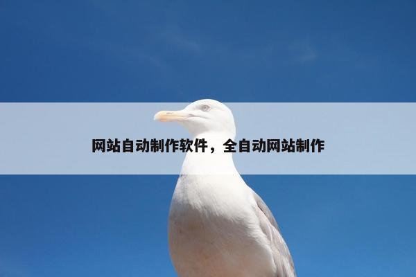网站自动制作软件，全自动网站制作