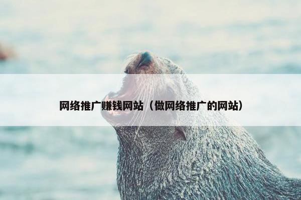 网络推广赚钱网站（做网络推广的网站）