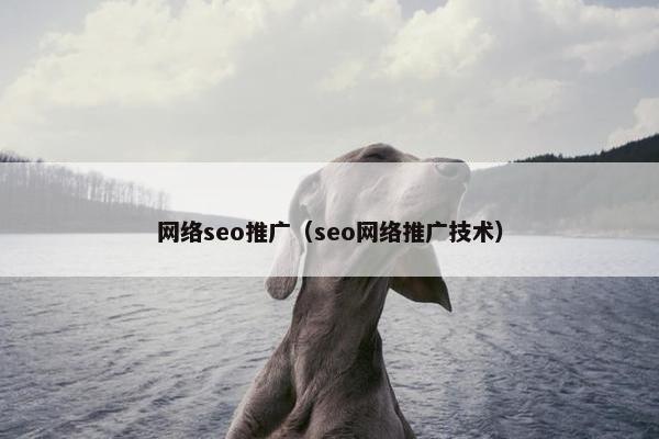 网络seo推广（seo网络推广技术）
