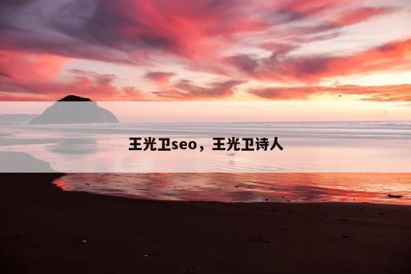 王光卫seo，王光卫诗人