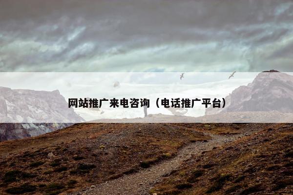 网站推广来电咨询（电话推广平台）