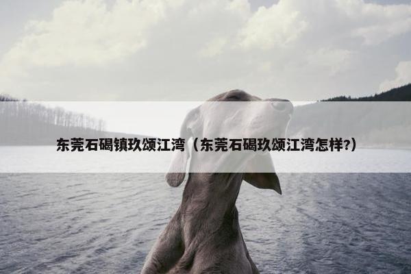 东莞石碣镇玖颂江湾（东莞石碣玖颂江湾怎样?）