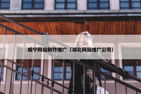 咸宁网站制作推广（湖北网站推广公司）