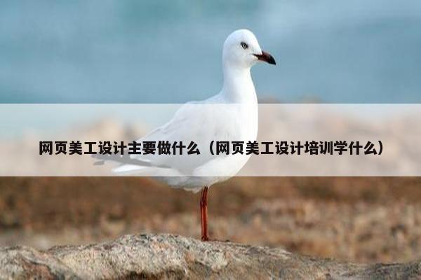 网页美工设计主要做什么（网页美工设计培训学什么）