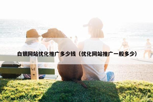 白银网站优化推广多少钱（优化网站推广一般多少）