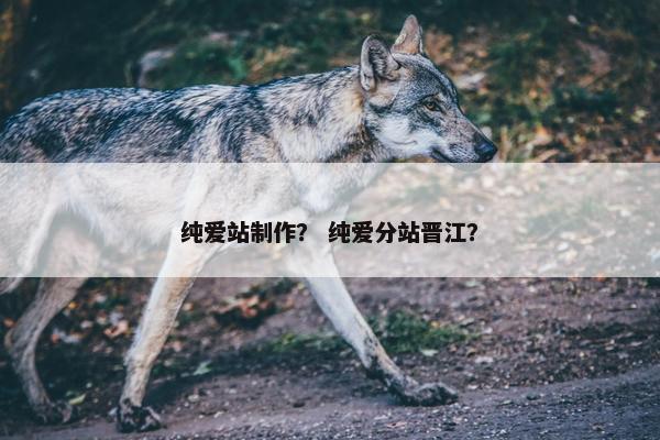 纯爱站制作？ 纯爱分站晋江？