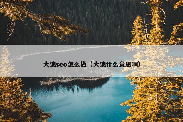 大浪seo怎么做（大浪什么意思啊）
