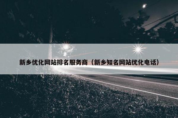 新乡优化网站排名服务商（新乡知名网站优化电话）