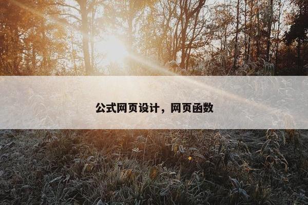 公式网页设计，网页函数