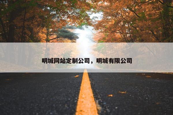 明城网站定制公司，明城有限公司