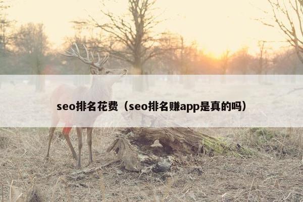 seo排名花费（seo排名赚app是真的吗）
