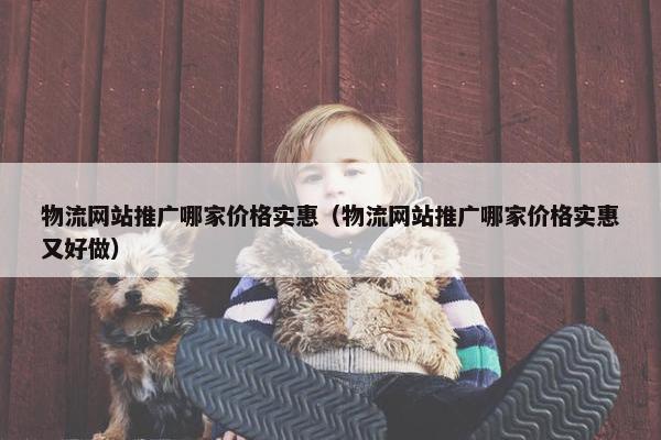 物流网站推广哪家价格实惠（物流网站推广哪家价格实惠又好做）