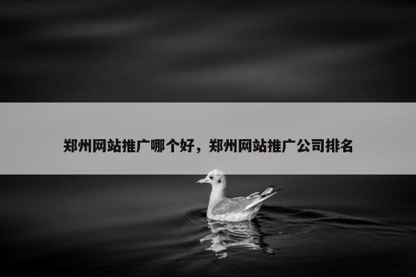 郑州网站推广哪个好，郑州网站推广公司排名