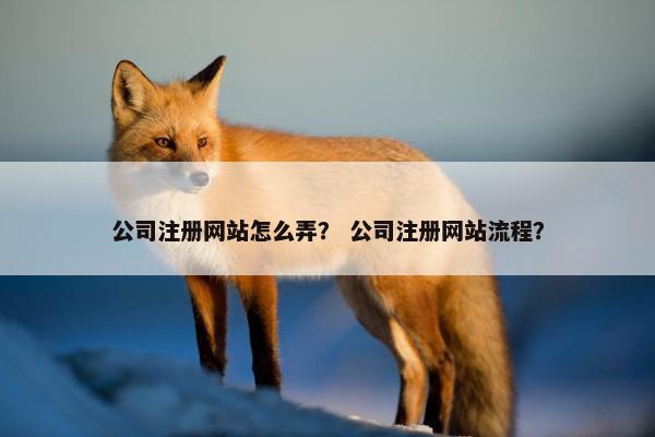 公司注册网站怎么弄？ 公司注册网站流程？