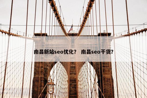 南昌新站seo优化？ 南昌seo干货？