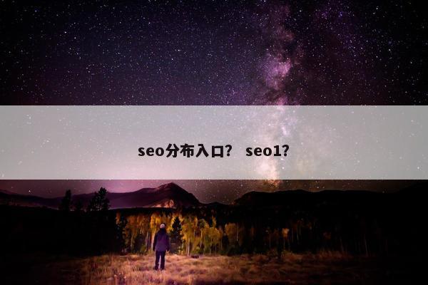 seo分布入口？ seo1？