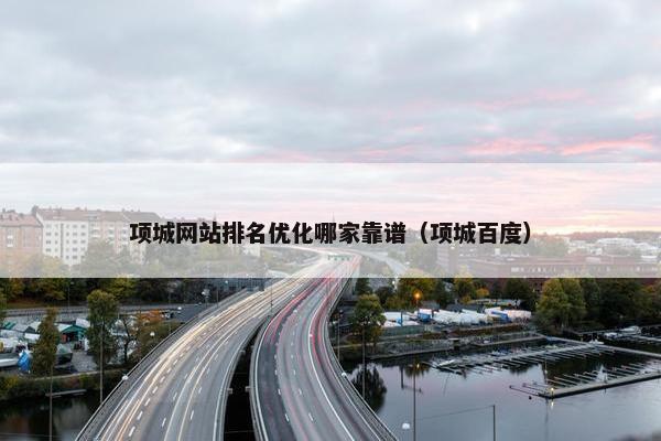 项城网站排名优化哪家靠谱（项城百度）