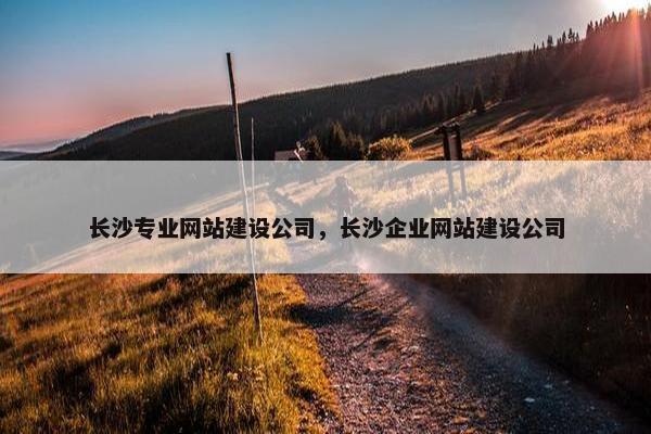 长沙专业网站建设公司，长沙企业网站建设公司