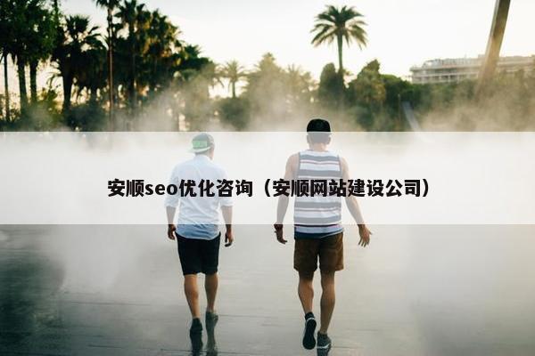 安顺seo优化咨询（安顺网站建设公司）