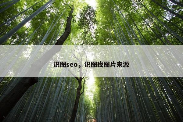 识图seo，识图找图片来源
