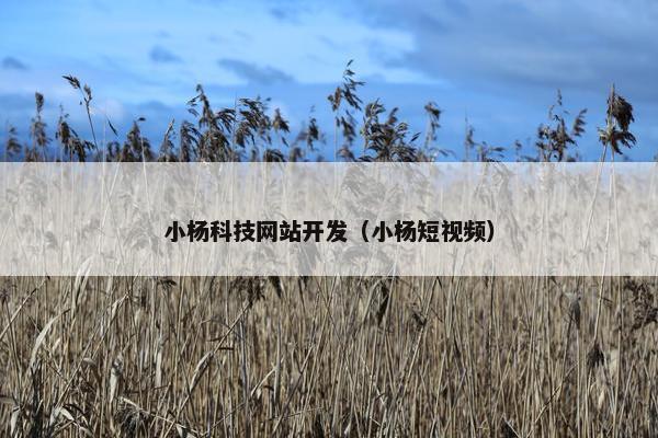小杨科技网站开发（小杨短视频）