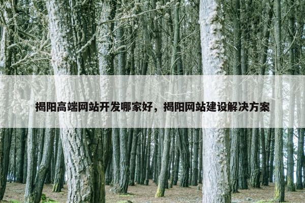 揭阳高端网站开发哪家好，揭阳网站建设解决方案