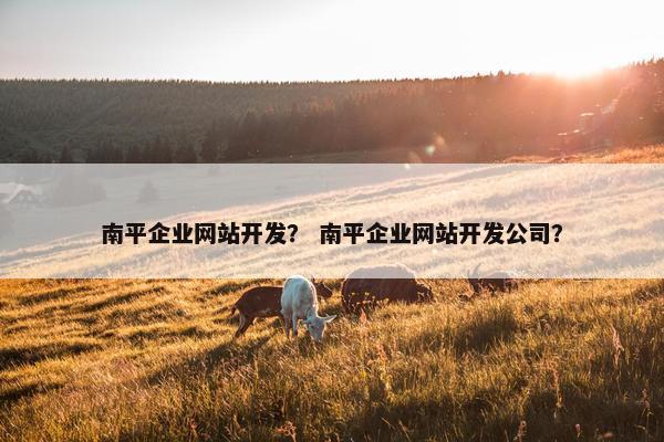 南平企业网站开发？ 南平企业网站开发公司？