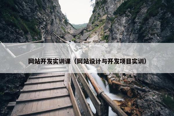 网站开发实训课（网站设计与开发项目实训）