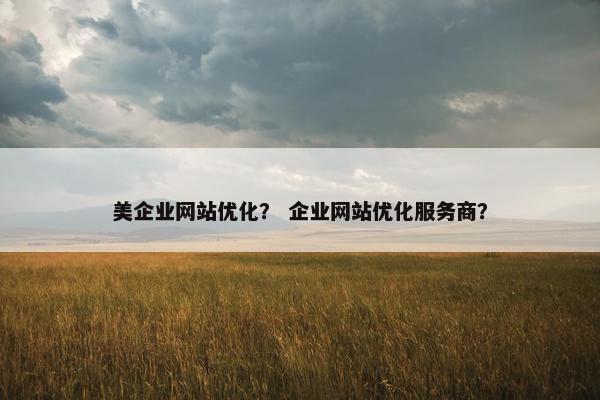 美企业网站优化？ 企业网站优化服务商？
