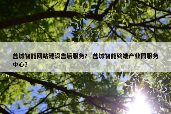 盐城智能网站建设售后服务？ 盐城智能终端产业园服务中心？