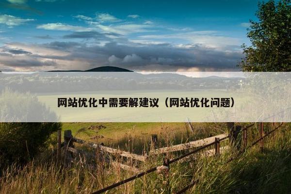 网站优化中需要解建议（网站优化问题）