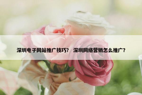 深圳电子网站推广技巧？ 深圳网络营销怎么推广？