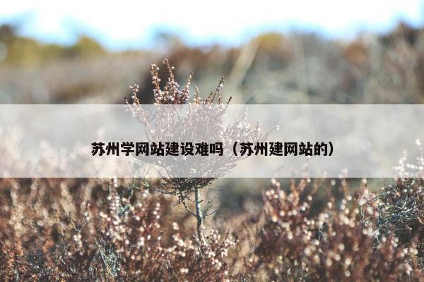 苏州学网站建设难吗（苏州建网站的）