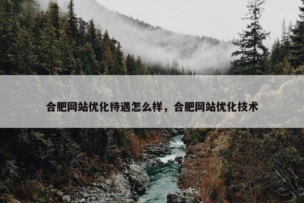 合肥网站优化待遇怎么样，合肥网站优化技术
