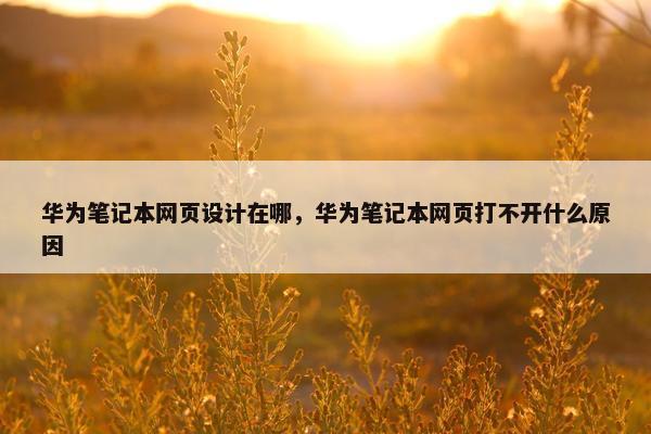 华为笔记本网页设计在哪，华为笔记本网页打不开什么原因
