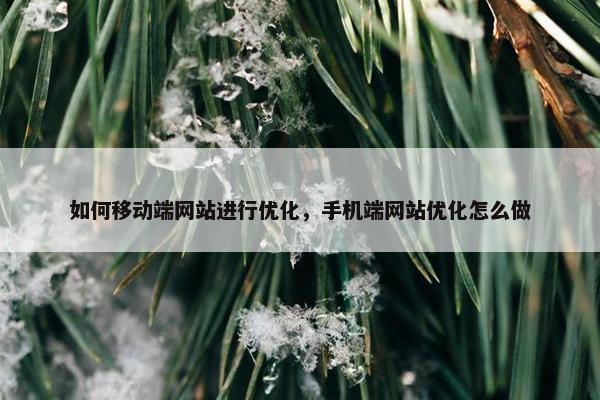 如何移动端网站进行优化，手机端网站优化怎么做