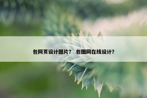 包网页设计图片？ 包图网在线设计？