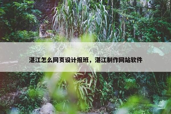 湛江怎么网页设计报班，湛江制作网站软件