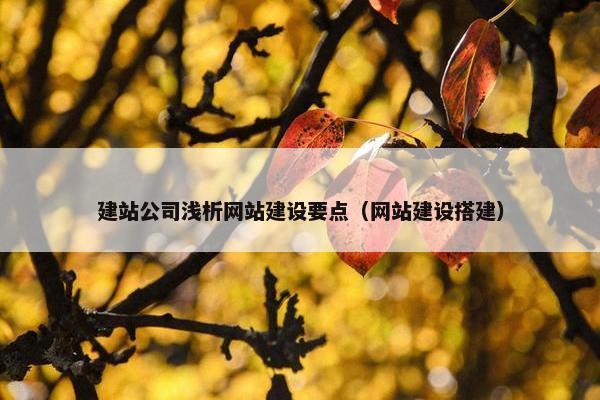 建站公司浅析网站建设要点（网站建设搭建）