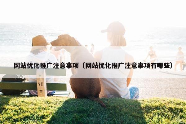 网站优化推广注意事项（网站优化推广注意事项有哪些）
