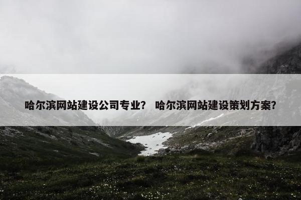 哈尔滨网站建设公司专业？ 哈尔滨网站建设策划方案？