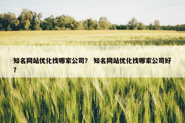 知名网站优化找哪家公司？ 知名网站优化找哪家公司好？