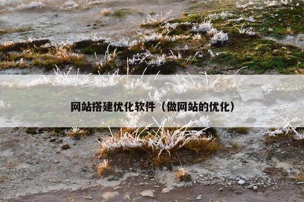网站搭建优化软件（做网站的优化）