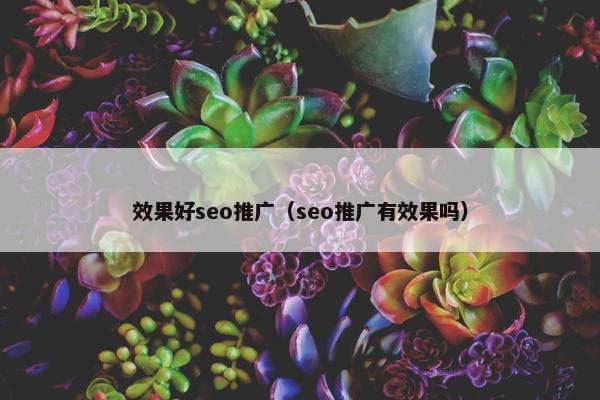 效果好seo推广（seo推广有效果吗）
