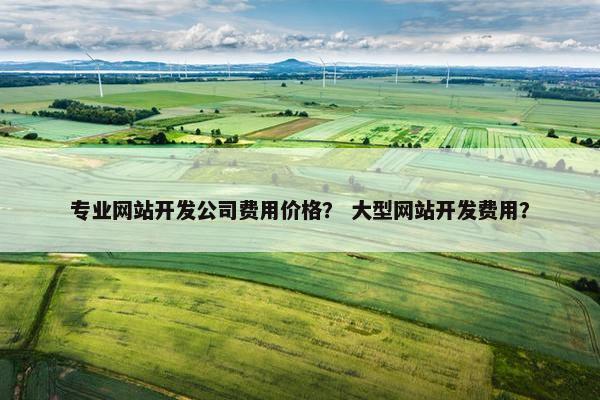 专业网站开发公司费用价格？ 大型网站开发费用？