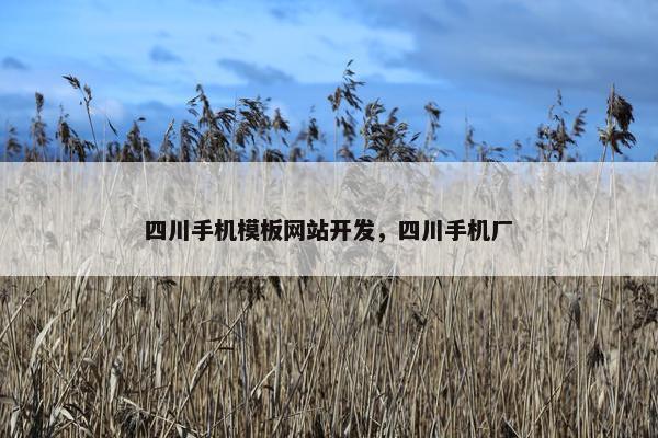 四川手机模板网站开发，四川手机厂