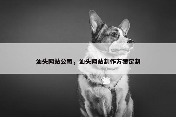 汕头网站公司，汕头网站制作方案定制