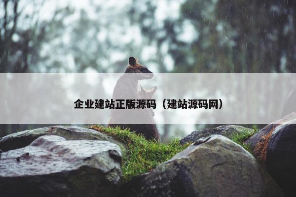 企业建站正版源码（建站源码网）