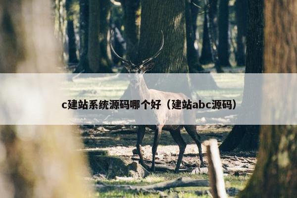 c建站系统源码哪个好（建站abc源码）