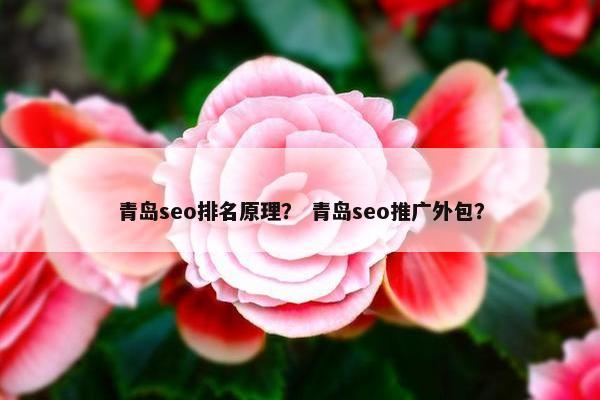 青岛seo排名原理？ 青岛seo推广外包？